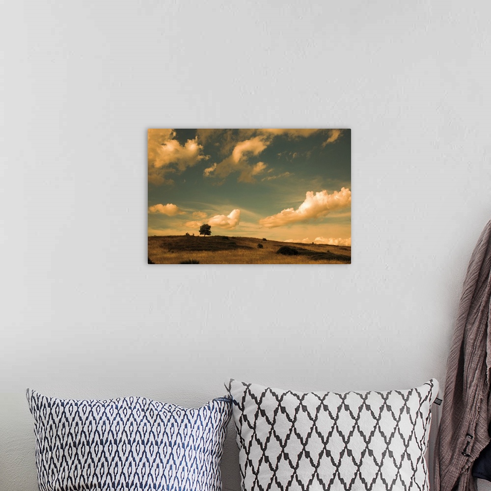 A bohemian room featuring Photograph of a field with a single tree beneath of cloud filled sky in warm tones.