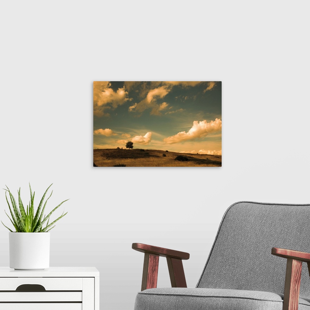 A modern room featuring Photograph of a field with a single tree beneath of cloud filled sky in warm tones.