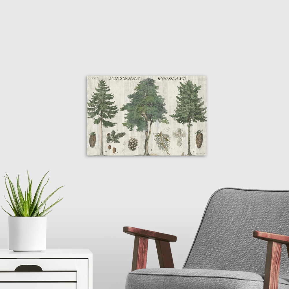 A modern room featuring Woodland Chart I