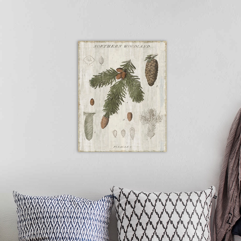 A bohemian room featuring Home decor artwork of a vintage rustic looking chart of trees.