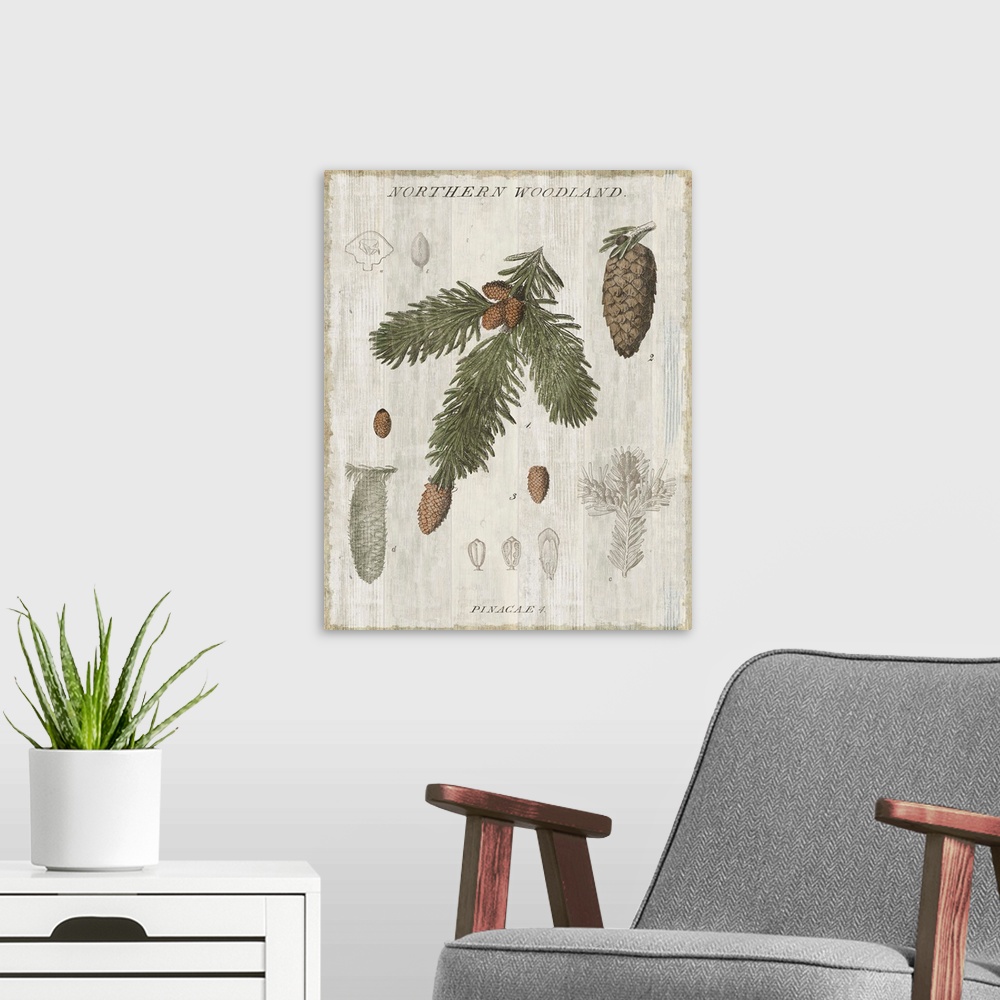 A modern room featuring Home decor artwork of a vintage rustic looking chart of trees.