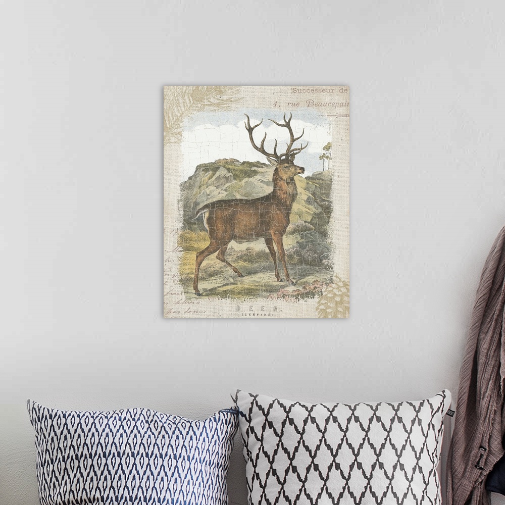 A bohemian room featuring Woodland Stag I