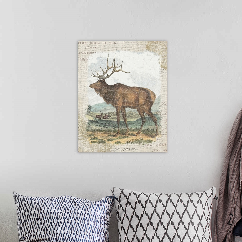 A bohemian room featuring Woodland Stag II