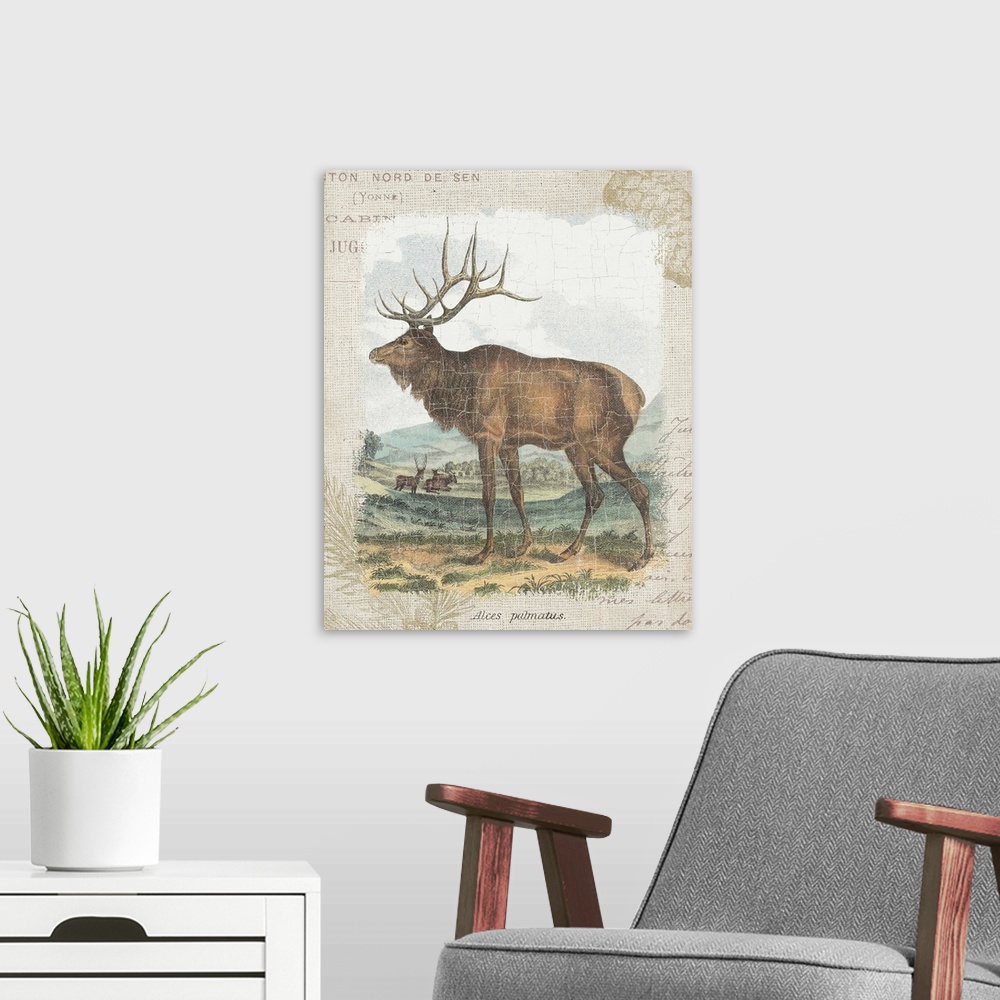 A modern room featuring Woodland Stag II