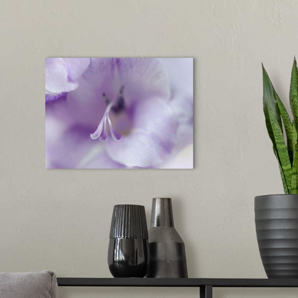 A modern room featuring A Gift in Purple II