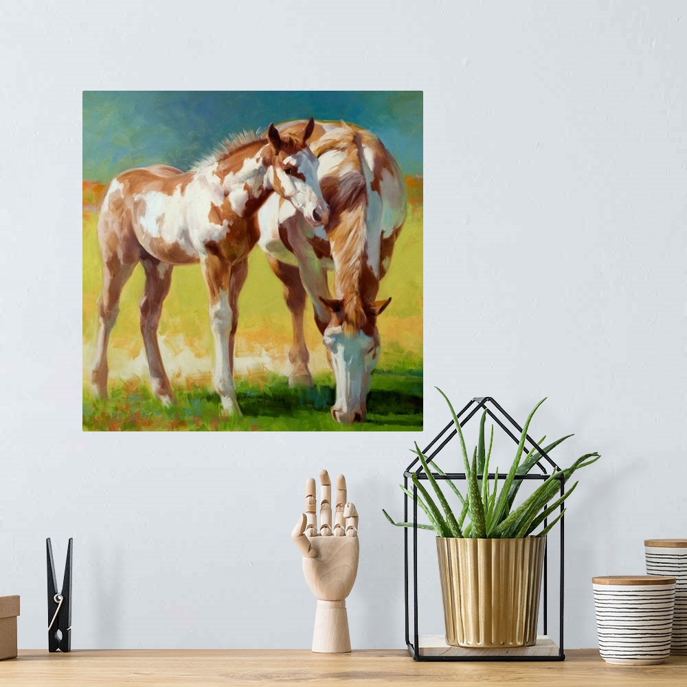 A bohemian room featuring A Paint mare and her foal grazing in a field in soft light.