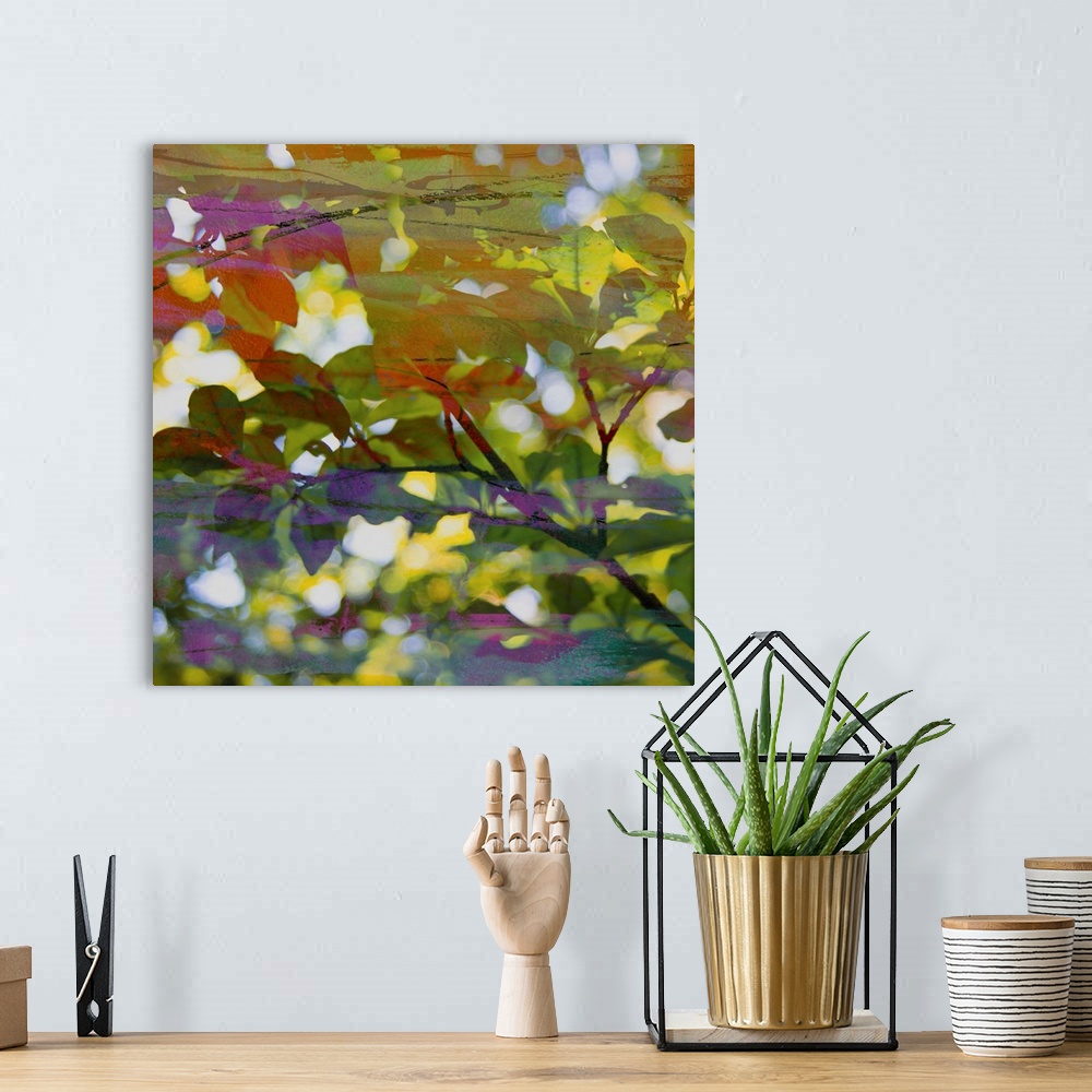 A bohemian room featuring Abstract Leaf Study II