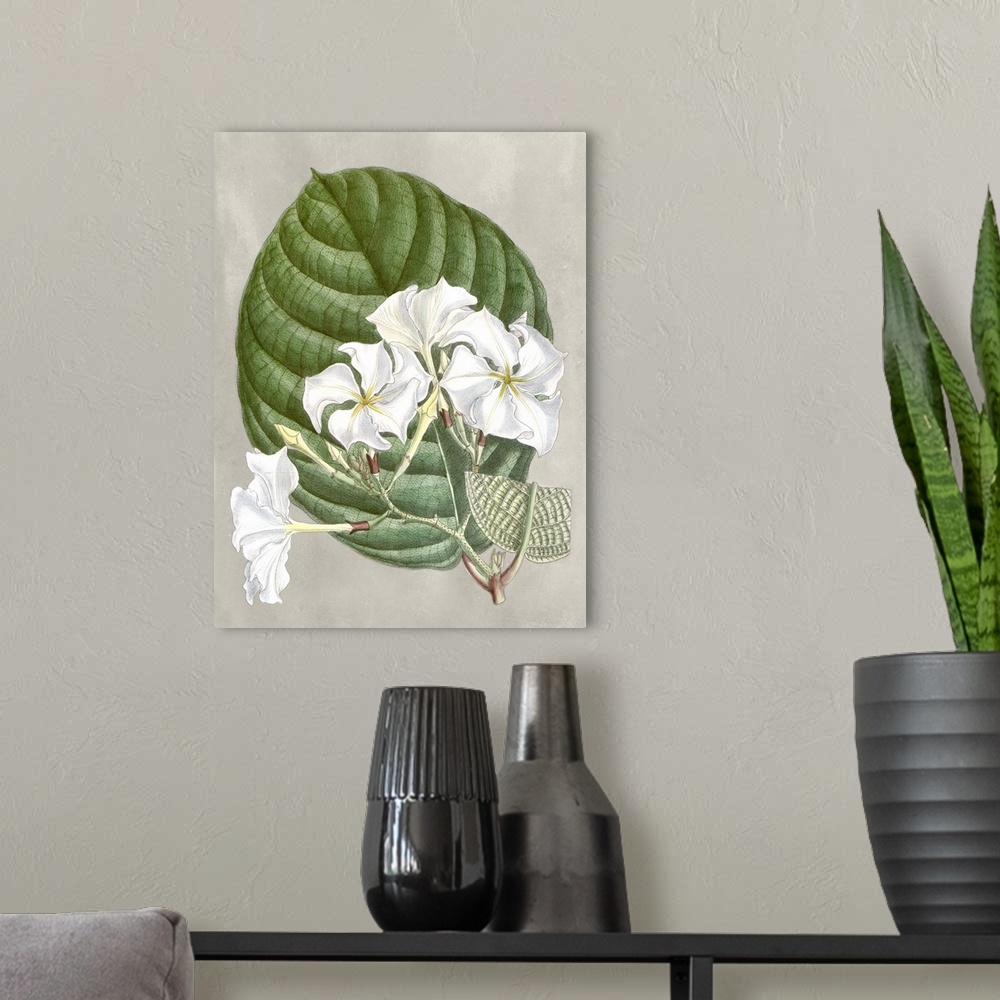 A modern room featuring Alabaster Blooms I