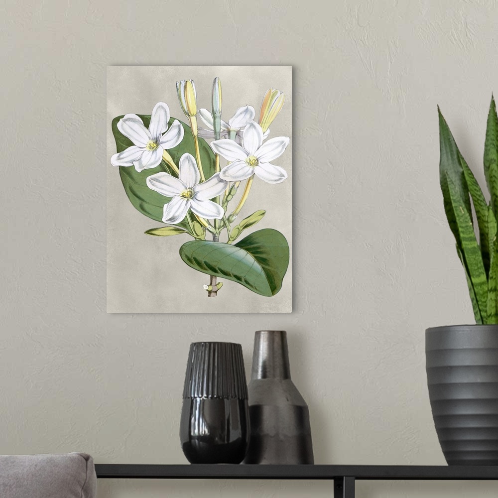 A modern room featuring Alabaster Blooms II