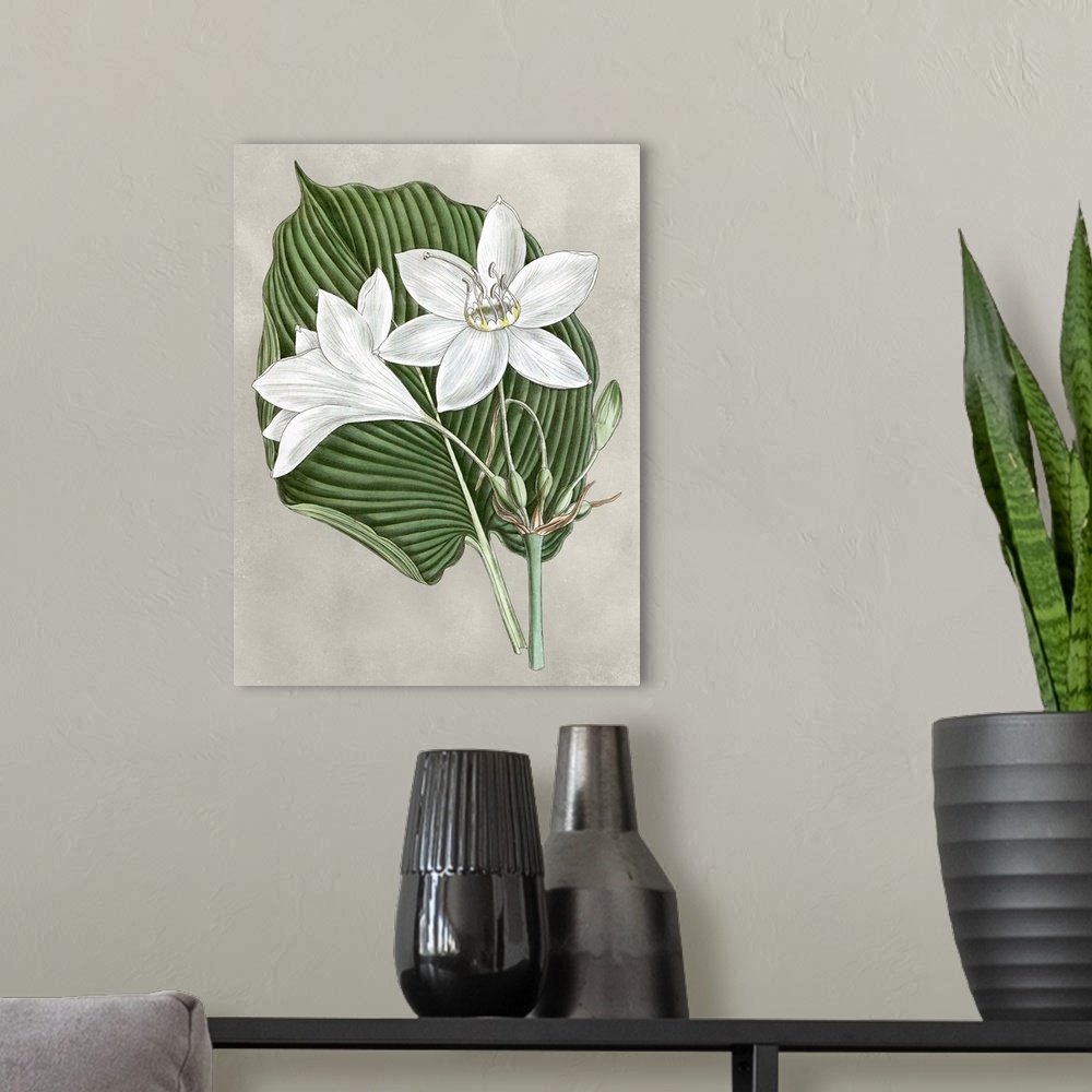 A modern room featuring Alabaster Blooms III