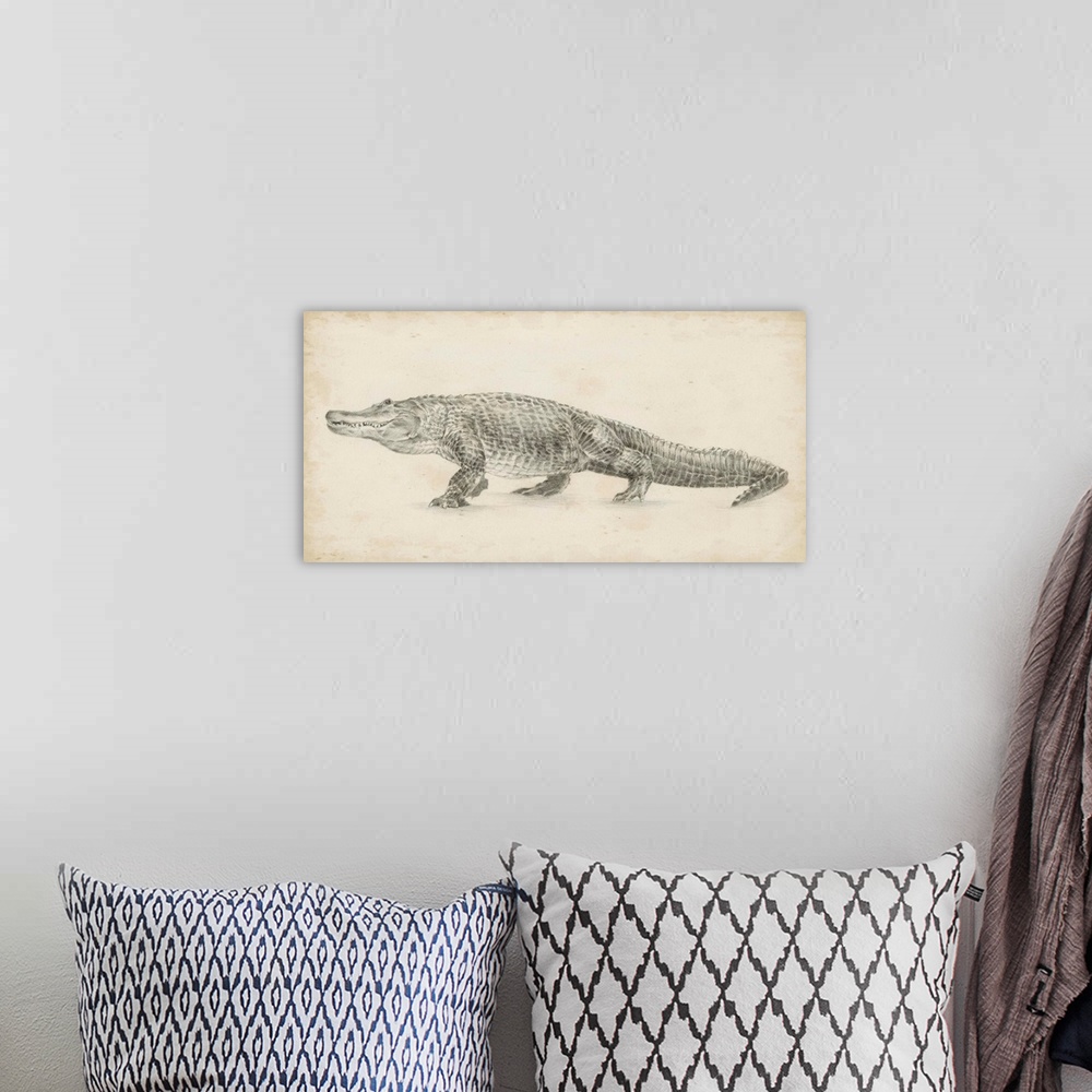 A bohemian room featuring Alligator Sketch