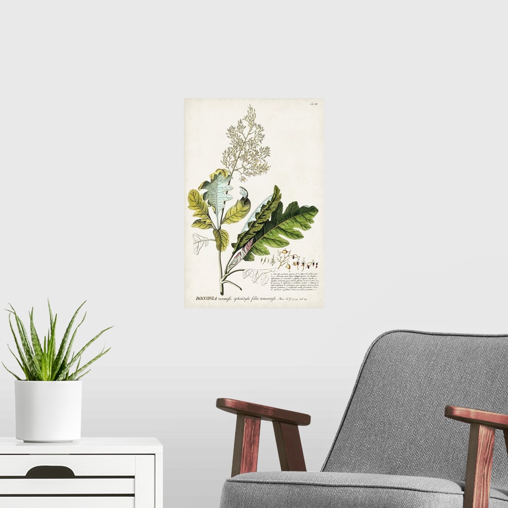 A modern room featuring Alluring Botanical I
