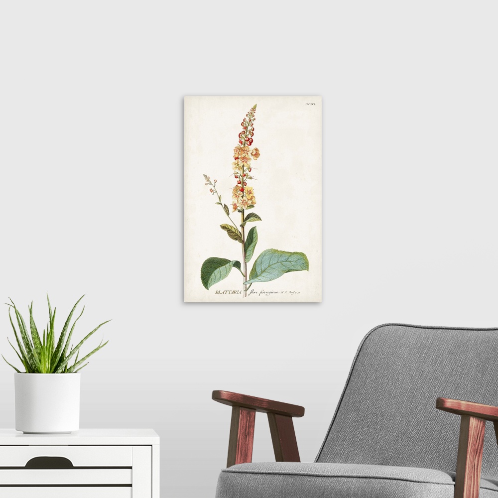 A modern room featuring Alluring Botanical II