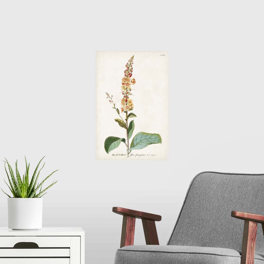 A modern room featuring Alluring Botanical II