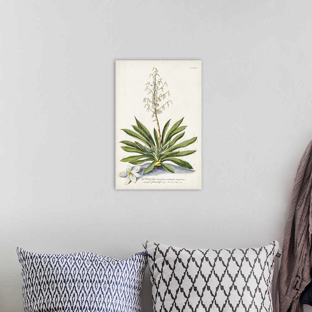 A bohemian room featuring Alluring Botanical III