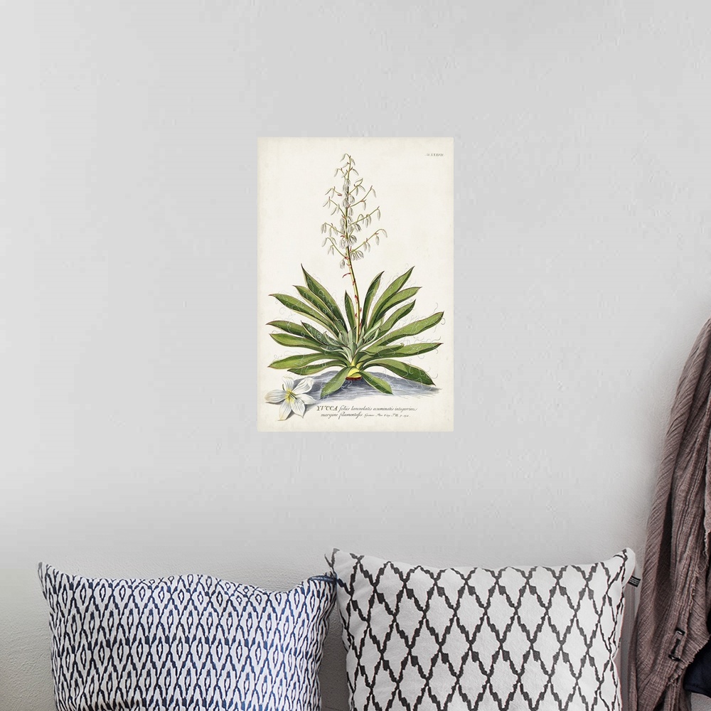 A bohemian room featuring Alluring Botanical III