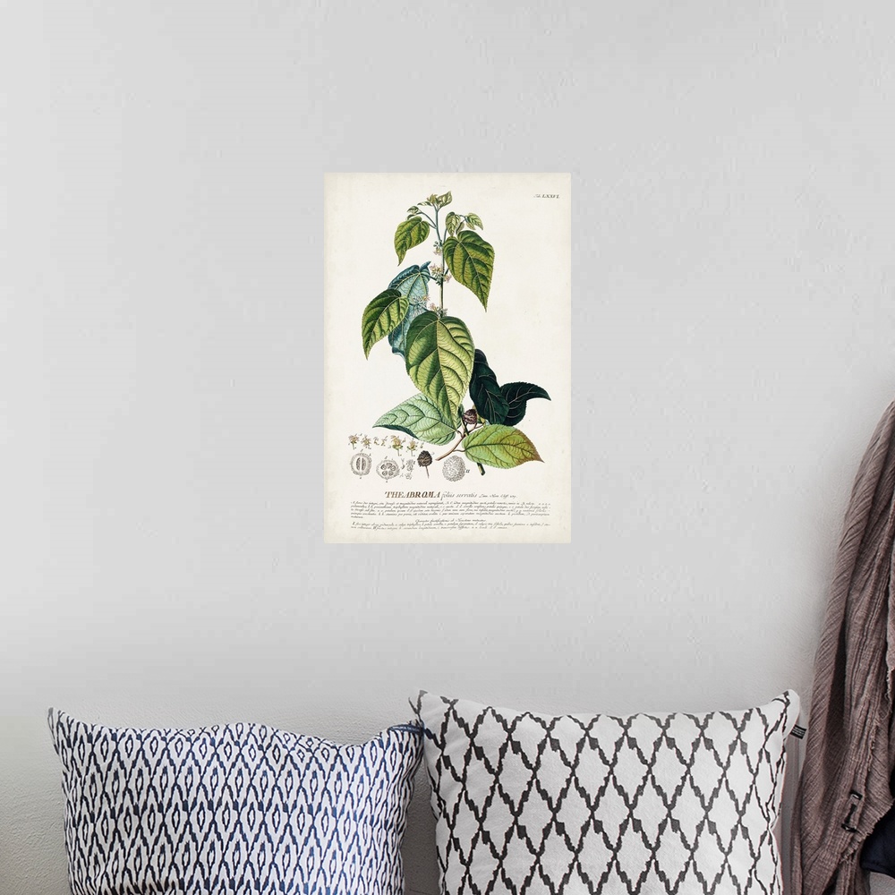 A bohemian room featuring Alluring Botanical VIII