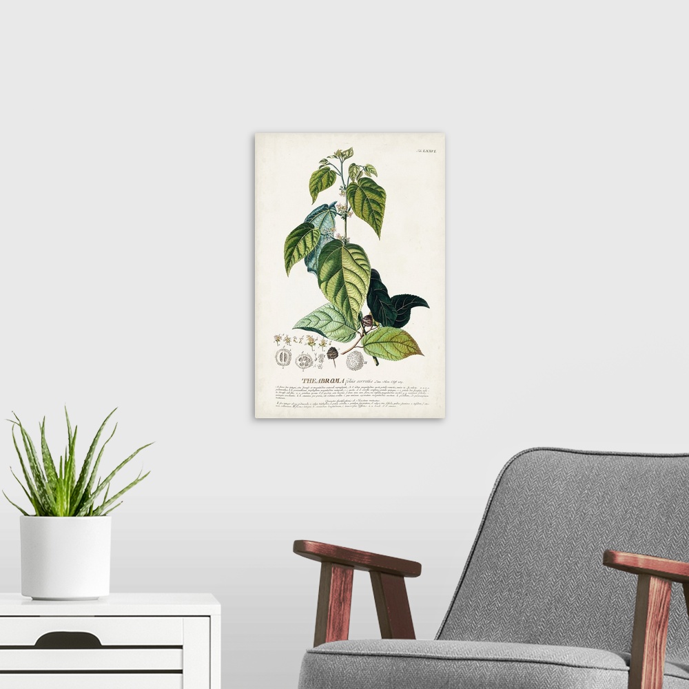 A modern room featuring Alluring Botanical VIII