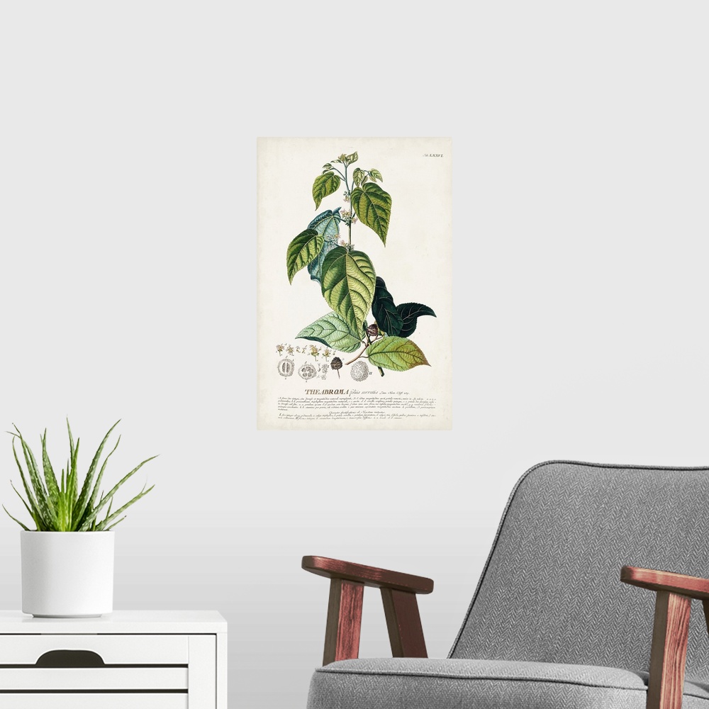 A modern room featuring Alluring Botanical VIII