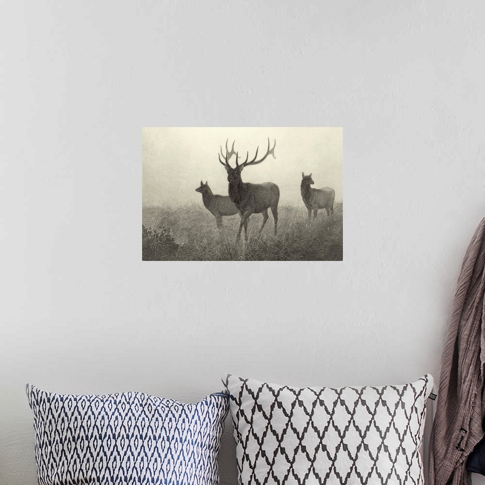 A bohemian room featuring American Elk