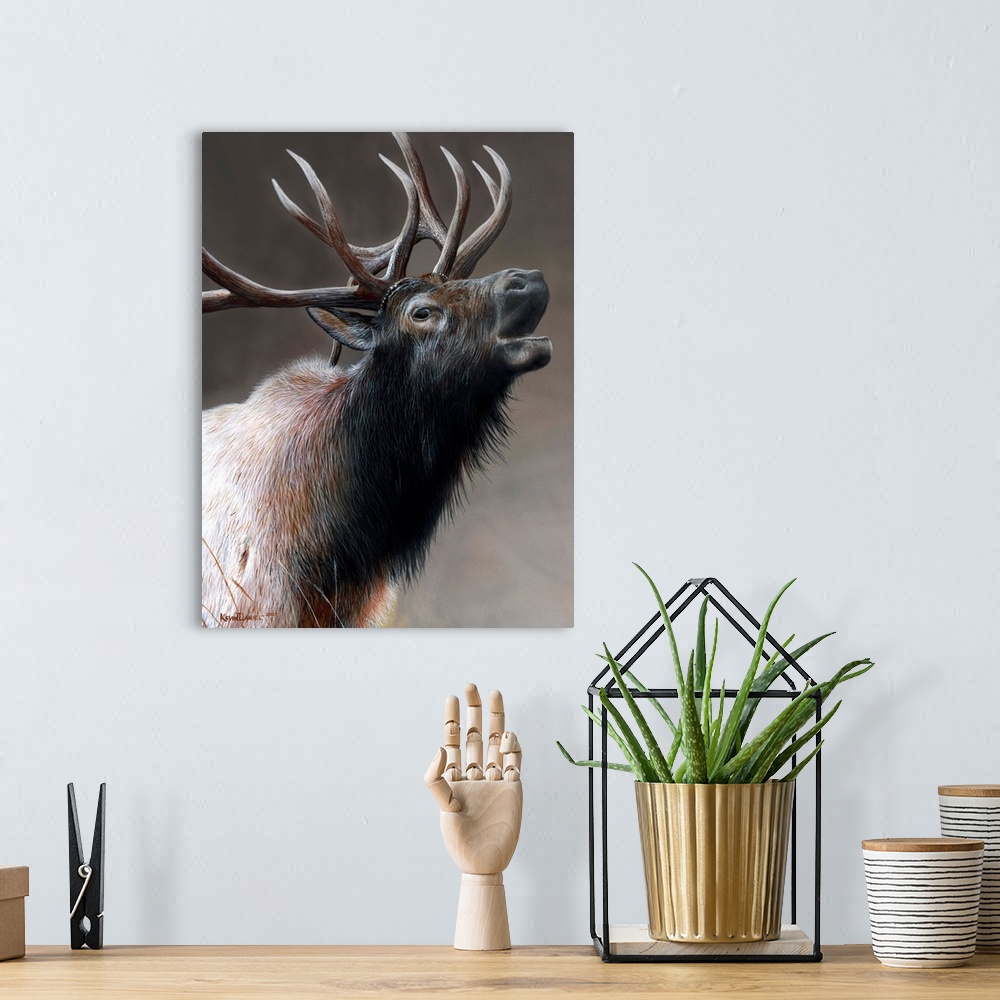 A bohemian room featuring American Icon - Elk
