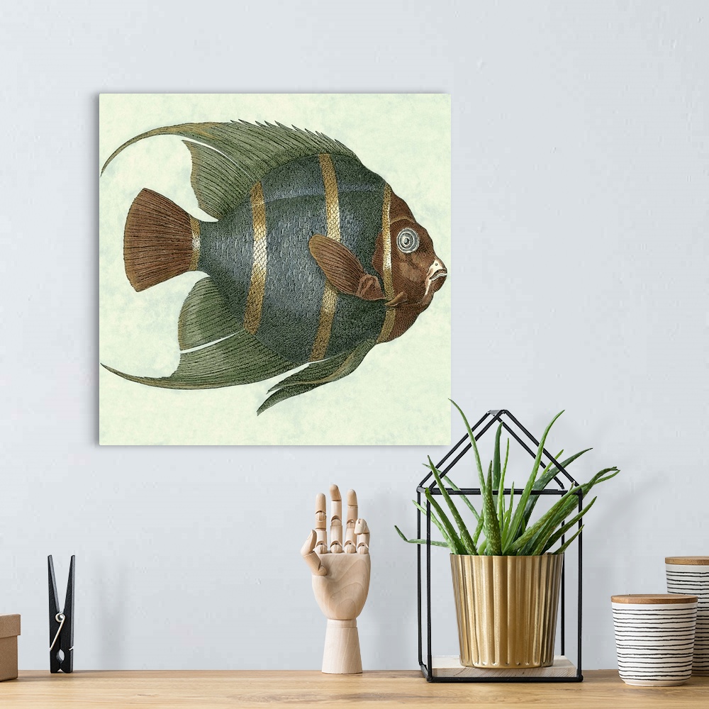 A bohemian room featuring Angel Fish I