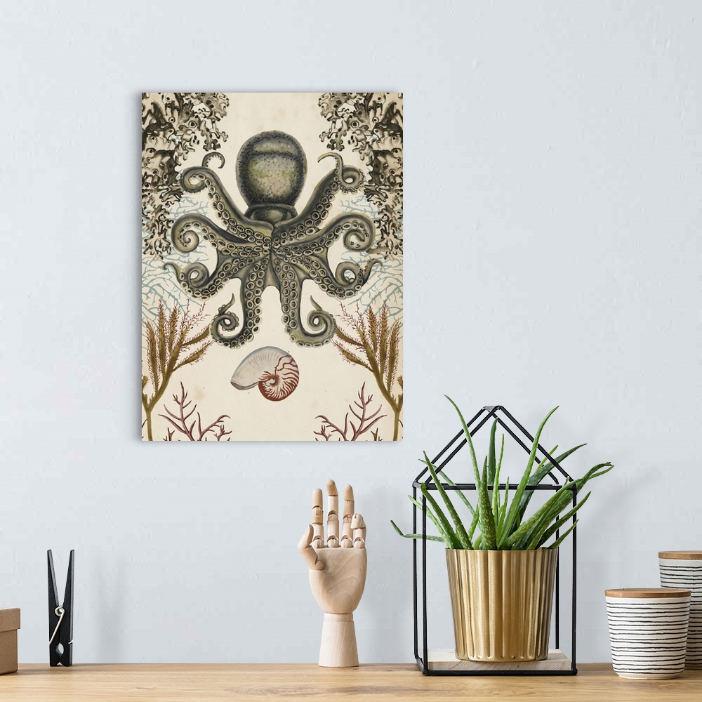 A bohemian room featuring Antiquarian Menagerie - Octopus