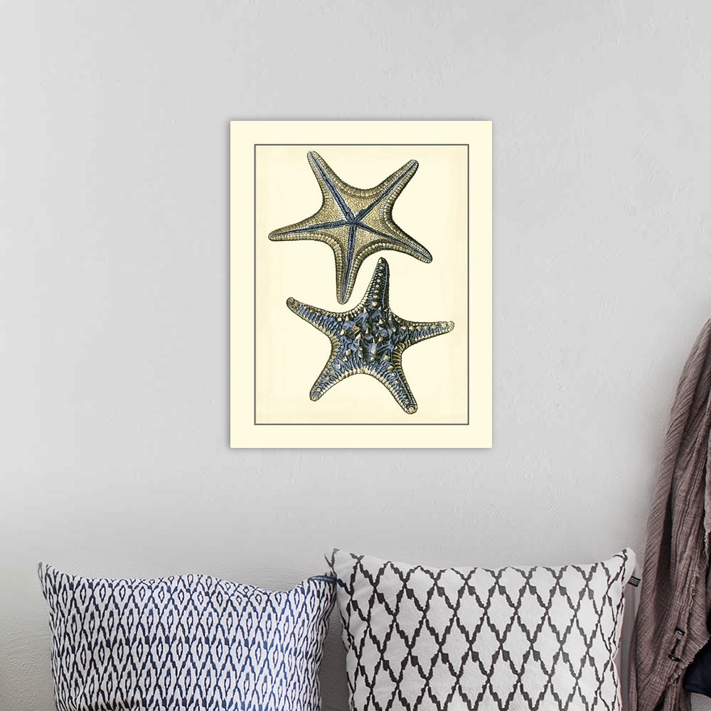 A bohemian room featuring Antique Blue Starfish II