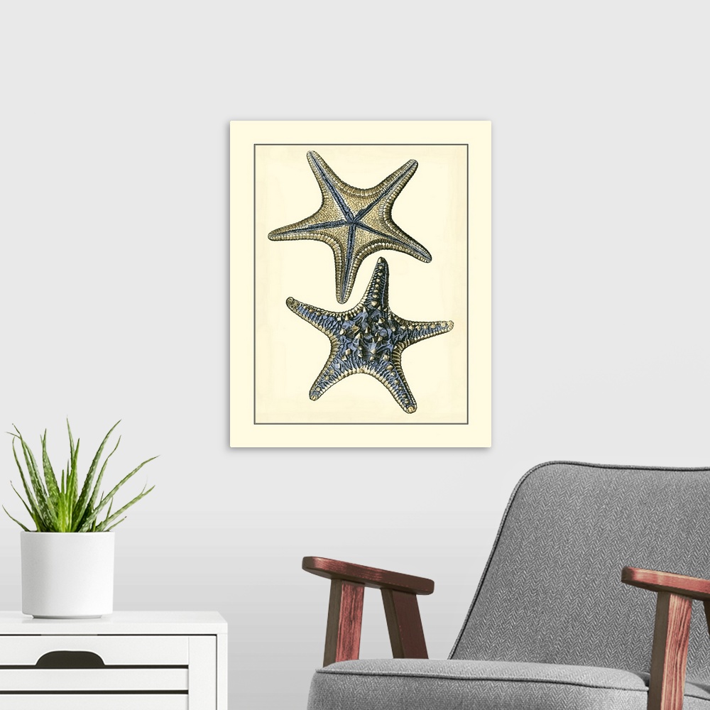 A modern room featuring Antique Blue Starfish II