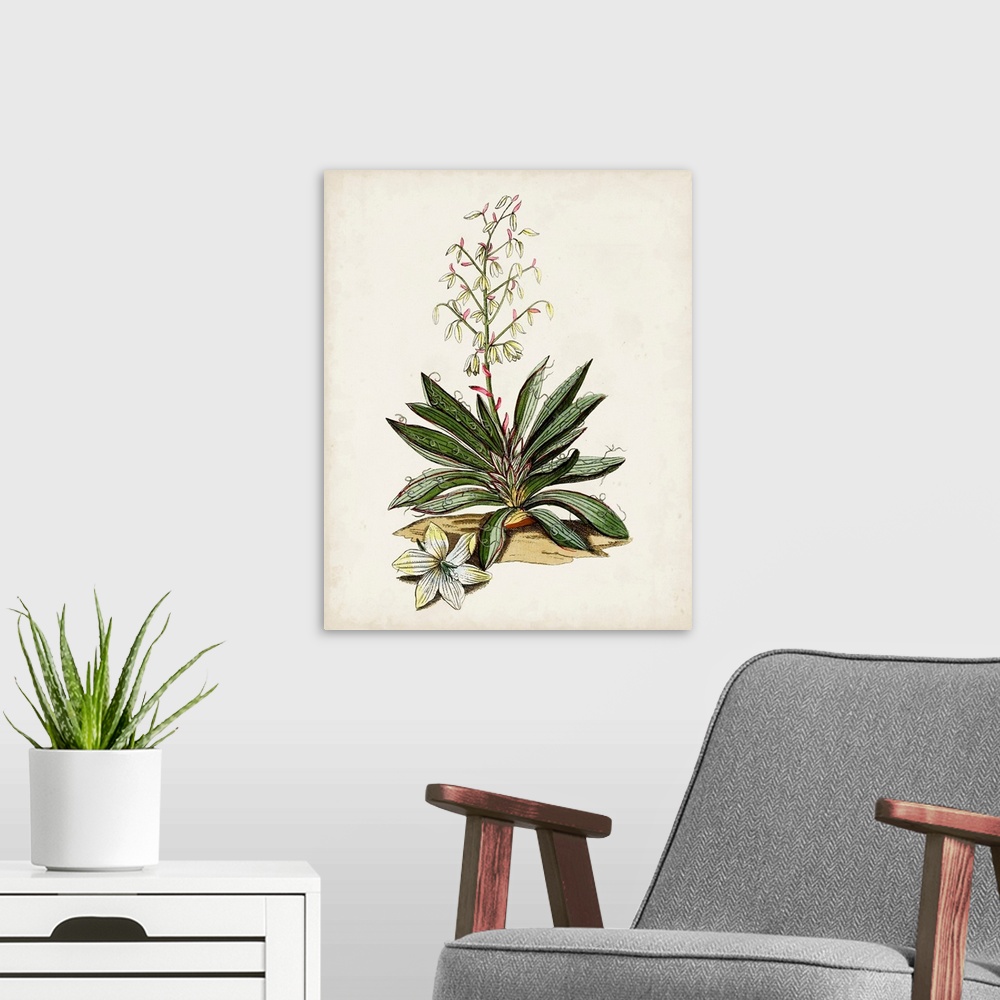 A modern room featuring Antique Botanical Study I