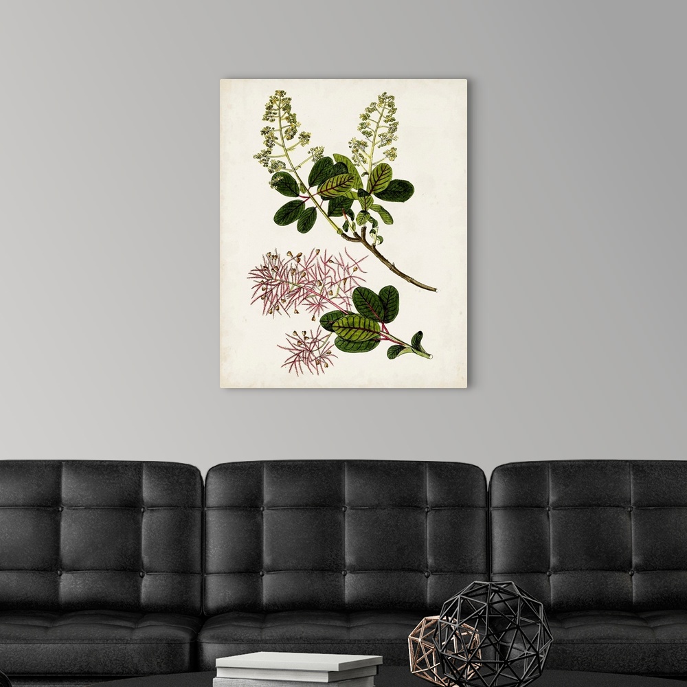 A modern room featuring Antique Botanical Study II