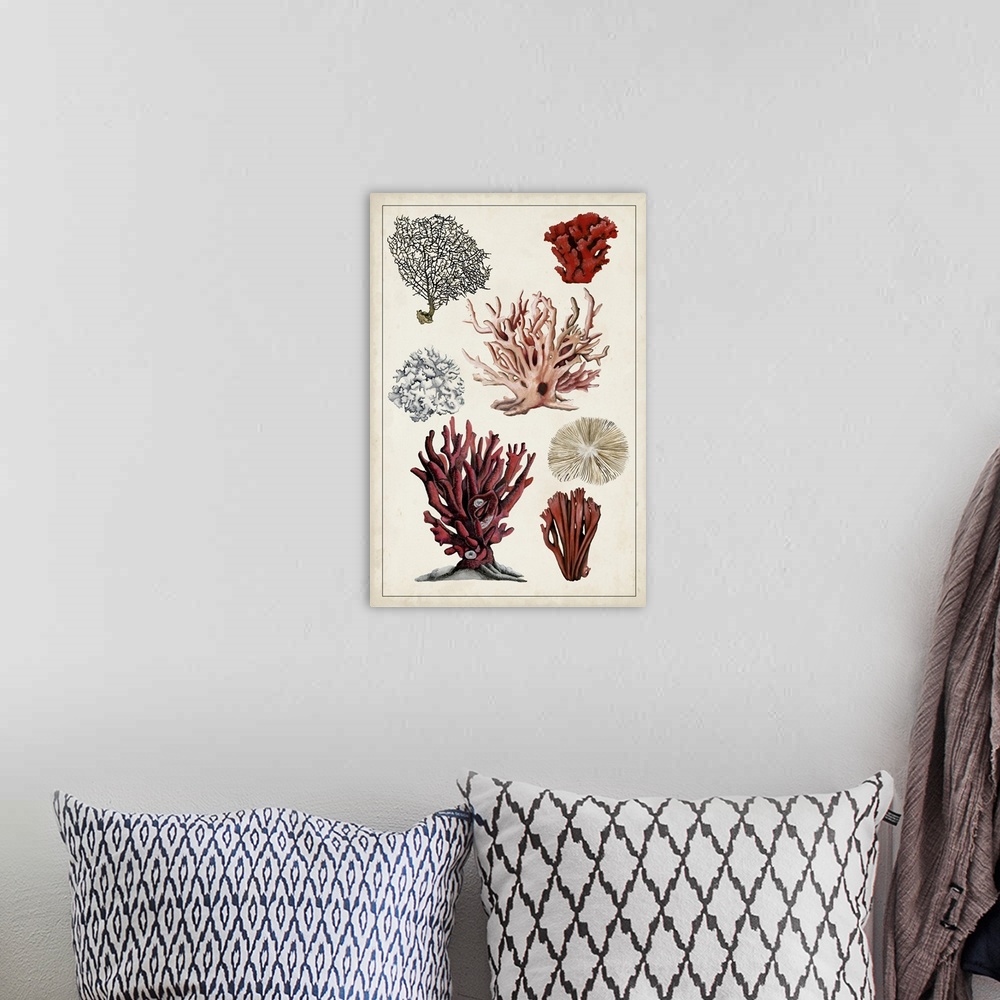 A bohemian room featuring Antique Coral Study I
