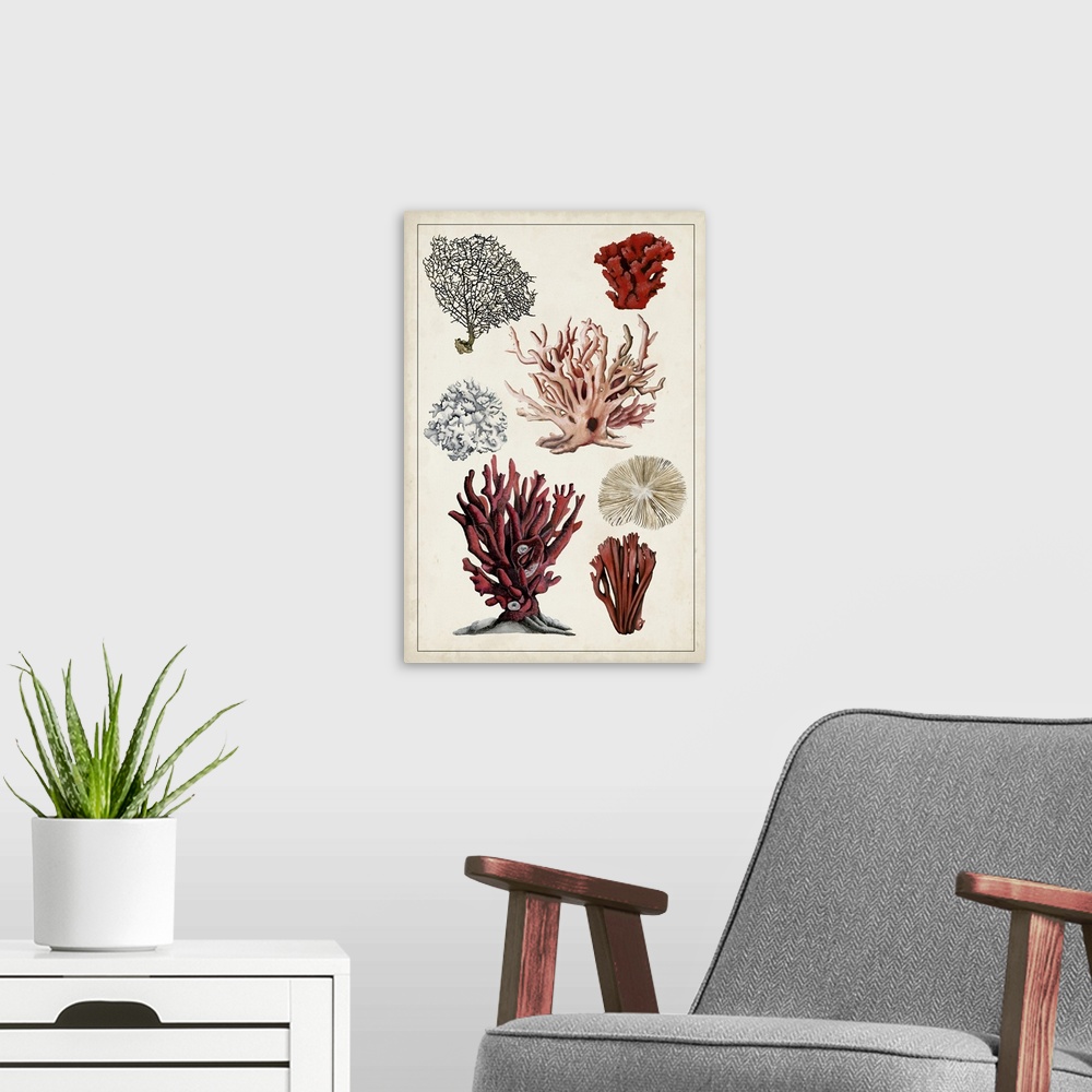 A modern room featuring Antique Coral Study I