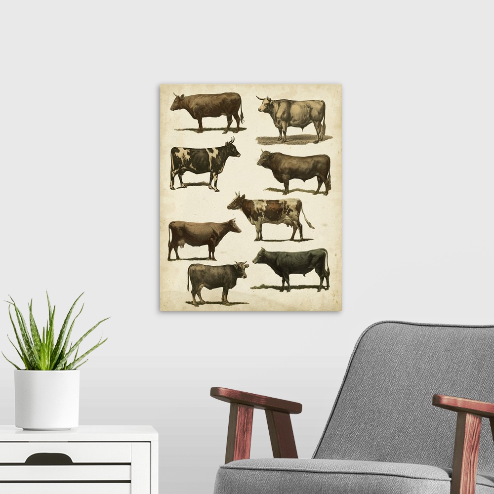 A modern room featuring Antique Cow Chart