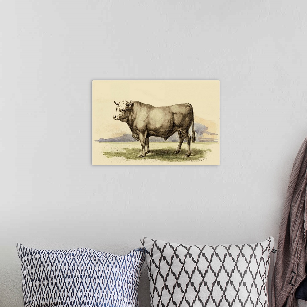 A bohemian room featuring Antique Cow I