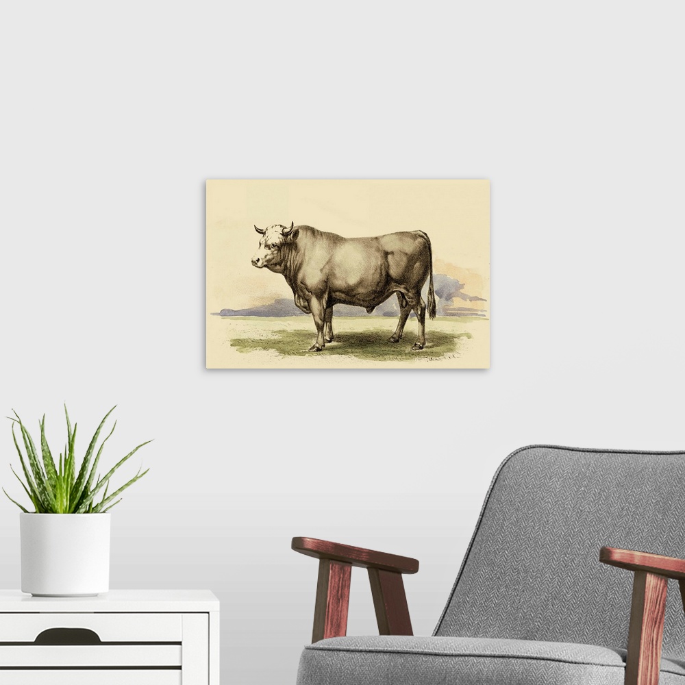 A modern room featuring Antique Cow I