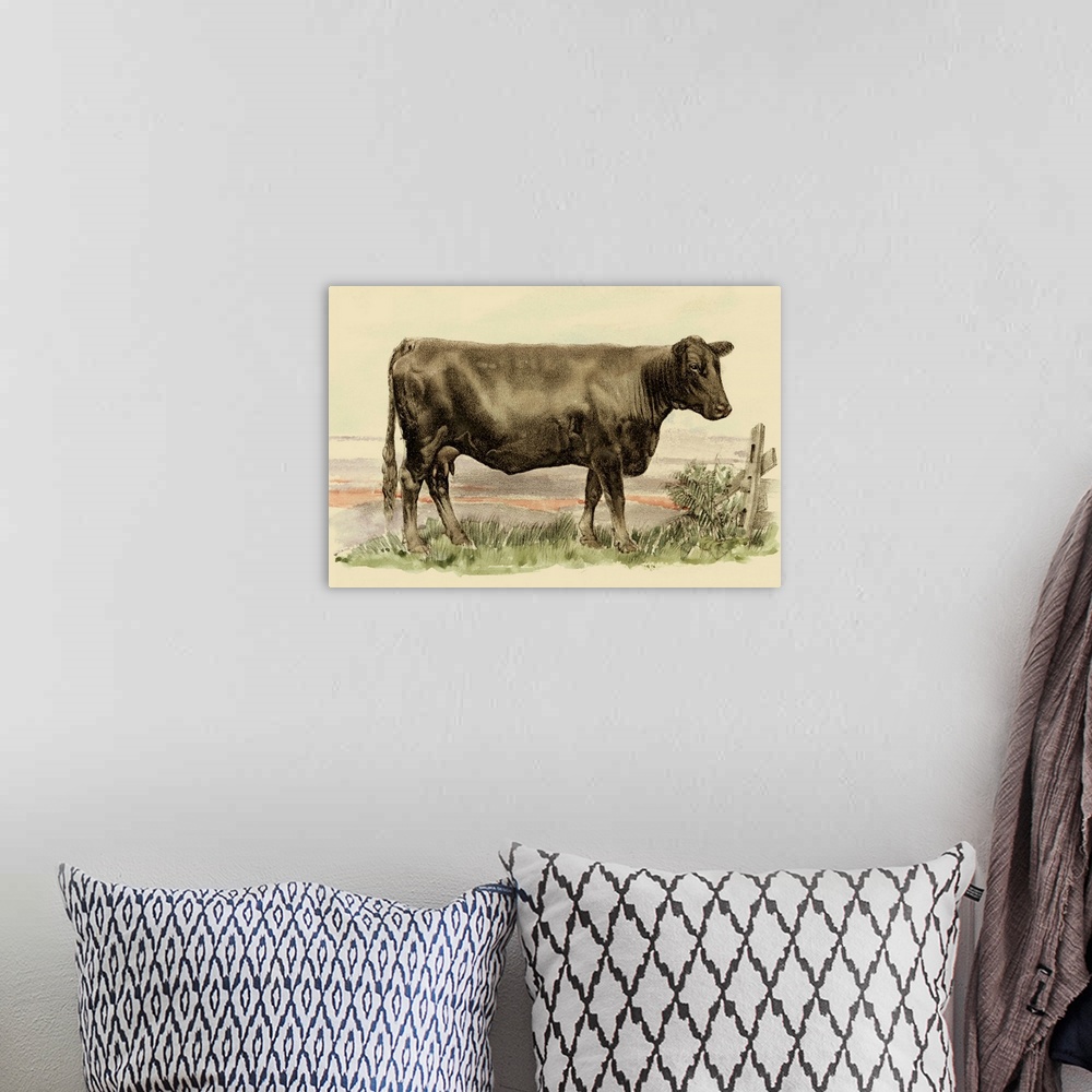 A bohemian room featuring Antique Cow II