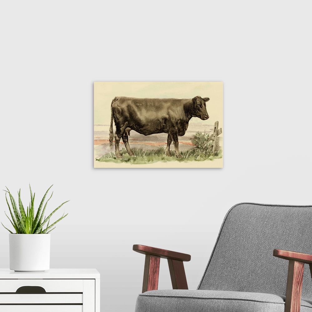 A modern room featuring Antique Cow II