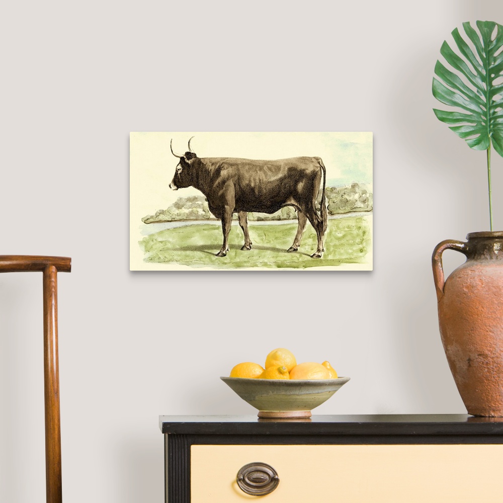 A traditional room featuring Antique Cow III