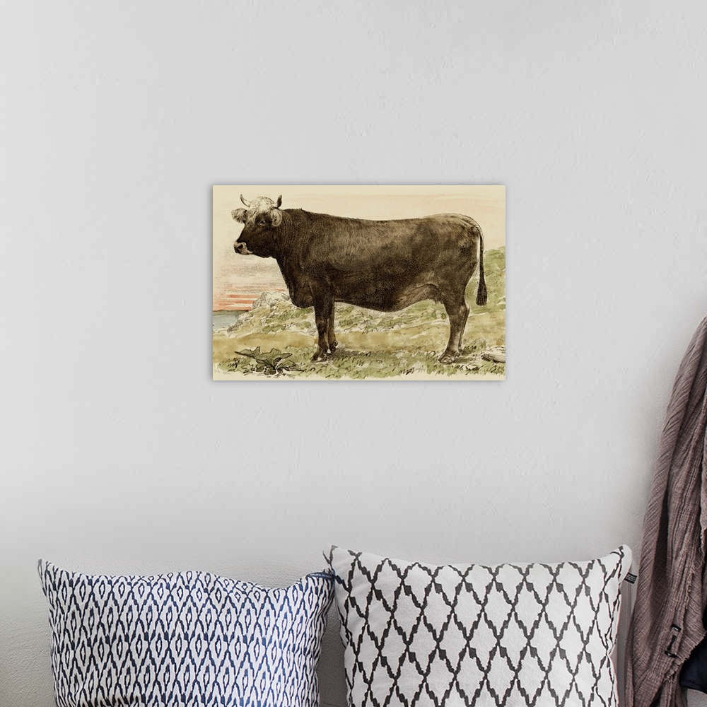 A bohemian room featuring Antique Cow V
