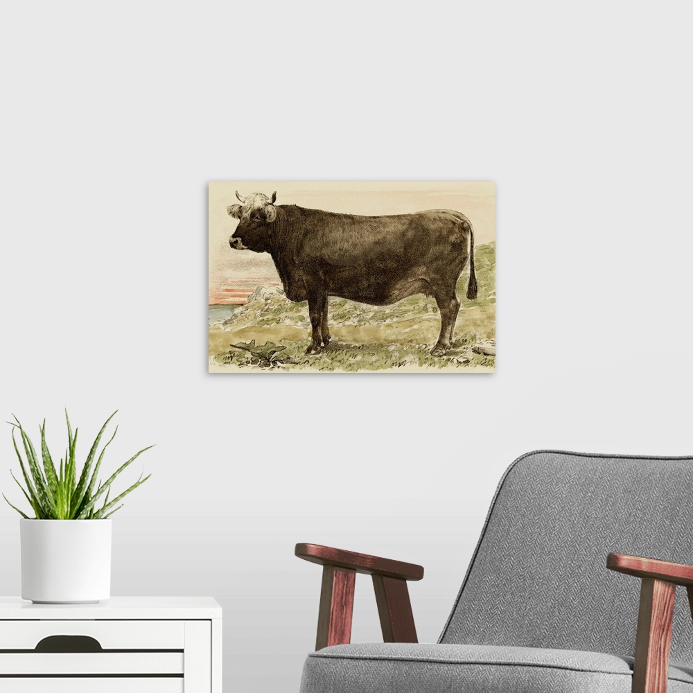 A modern room featuring Antique Cow V