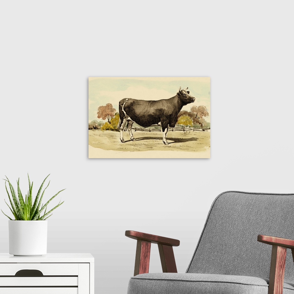 A modern room featuring Antique Cow VI