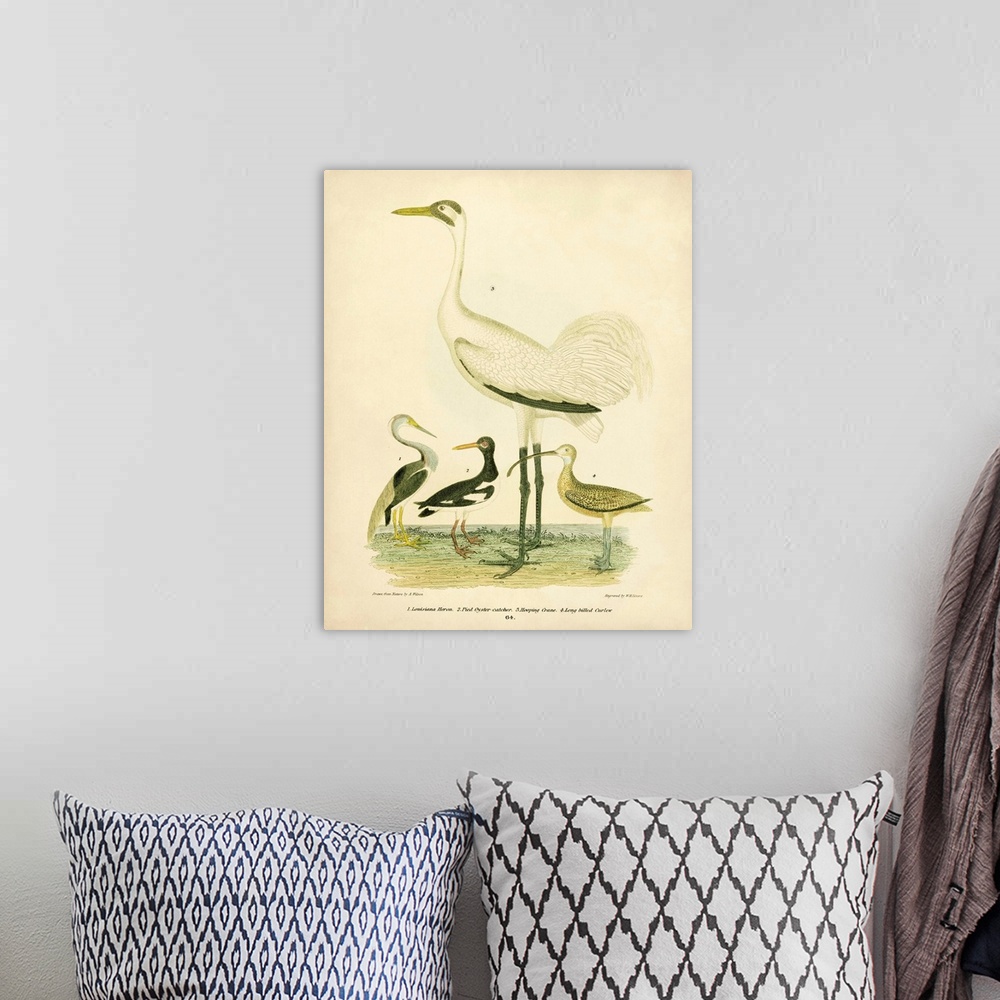 A bohemian room featuring Antique Crane And Heron