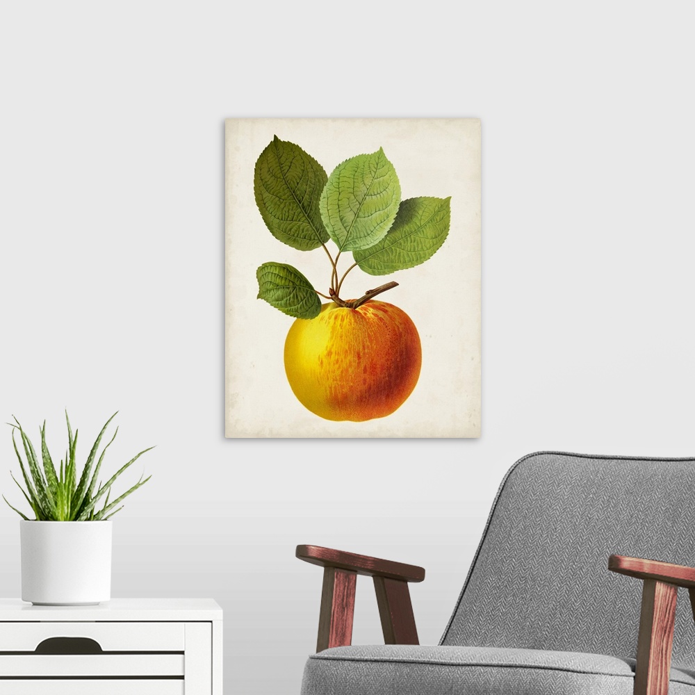 A modern room featuring Antique Fruit I