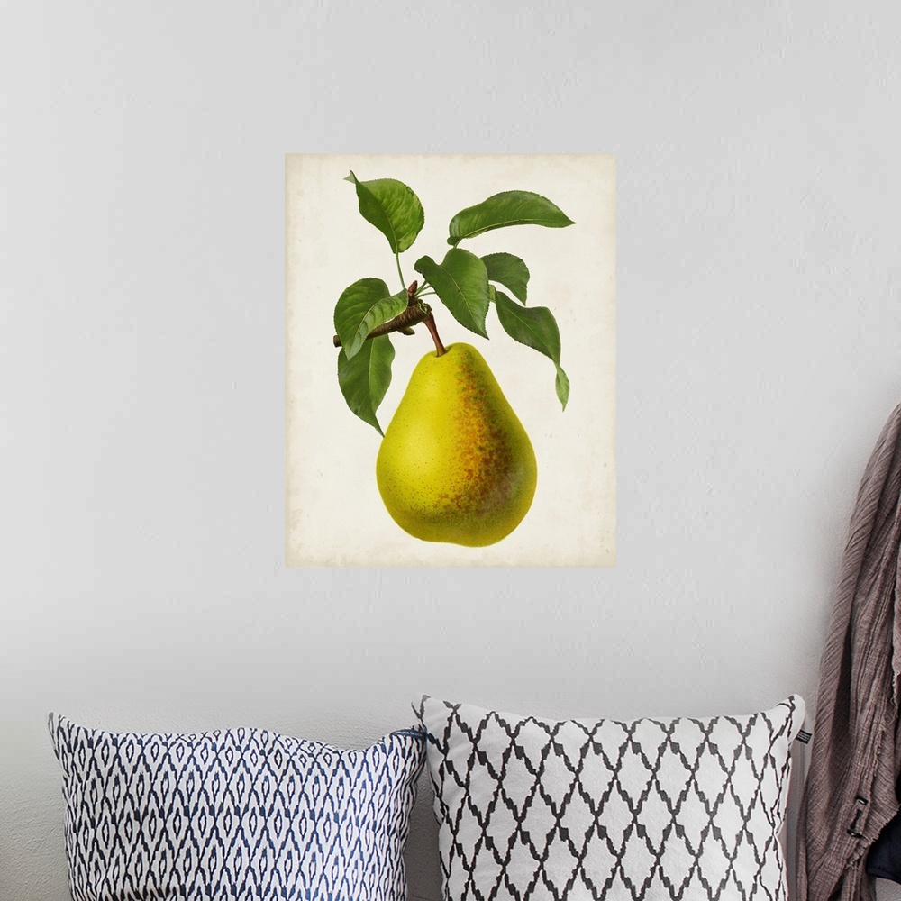 A bohemian room featuring Antique Fruit VII