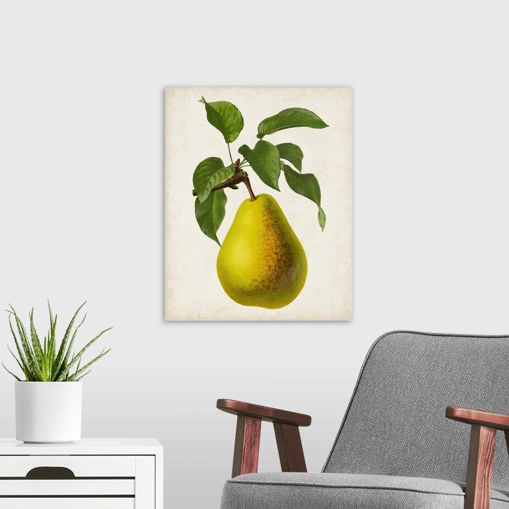 A modern room featuring Antique Fruit VII