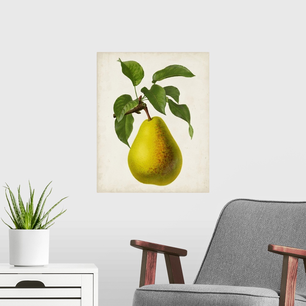 A modern room featuring Antique Fruit VII