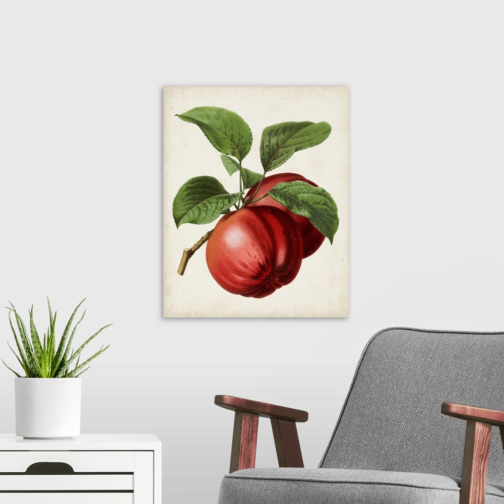 A modern room featuring Antique Fruit X