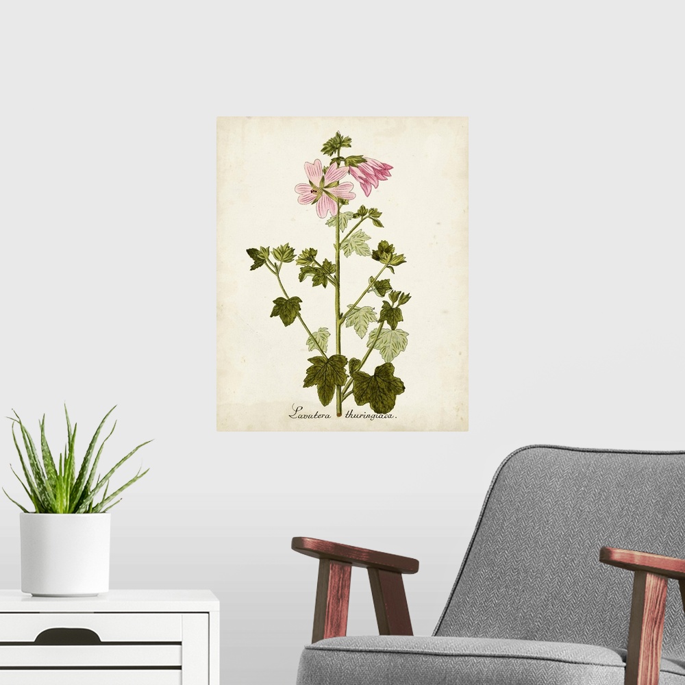 A modern room featuring Antique Herb Botanical V