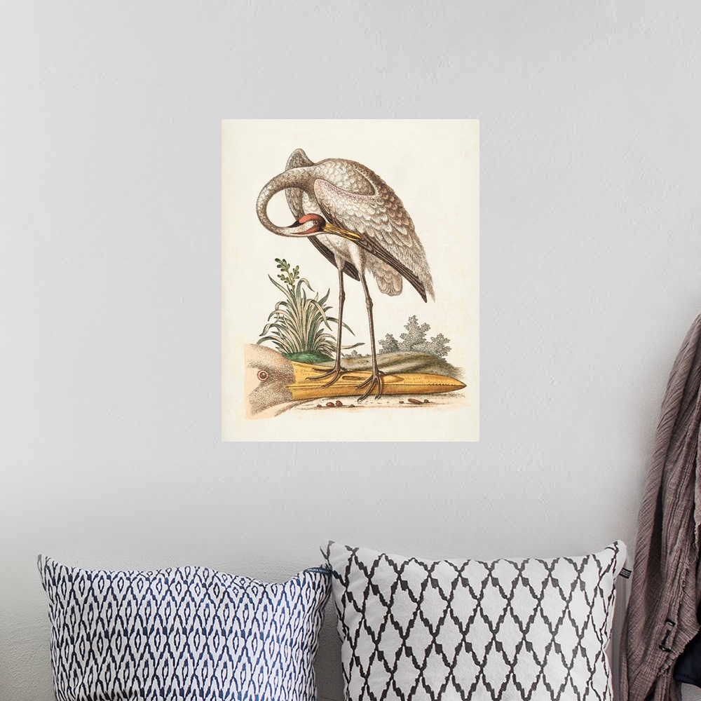 A bohemian room featuring Antique Heron & Cranes IV